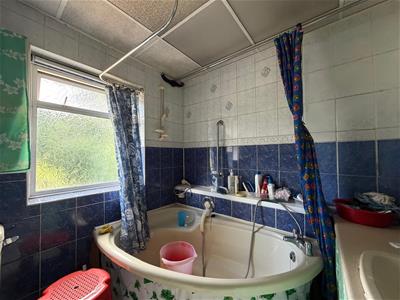 Picture 14